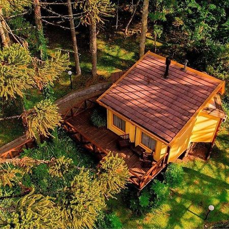 Villa Flor Ecoresort Nova Petropolis Exterior foto