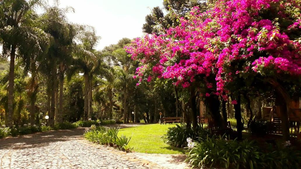 Villa Flor Ecoresort Nova Petropolis Exterior foto
